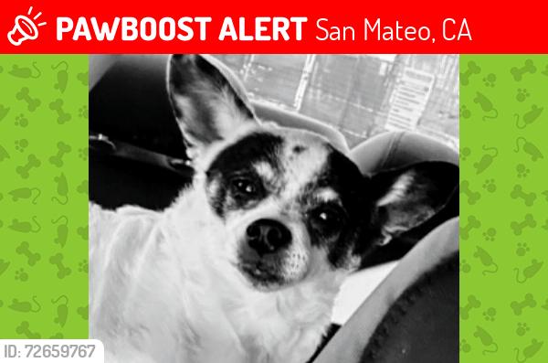 Lost Male Dog last seen Near Alameda de Las Pulgas San Mateo, CA 94403, San Mateo, CA 94403