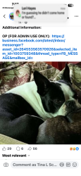 Lost Male Dog last seen Day Rd and Mooreville Rd, Milan, MI 48160