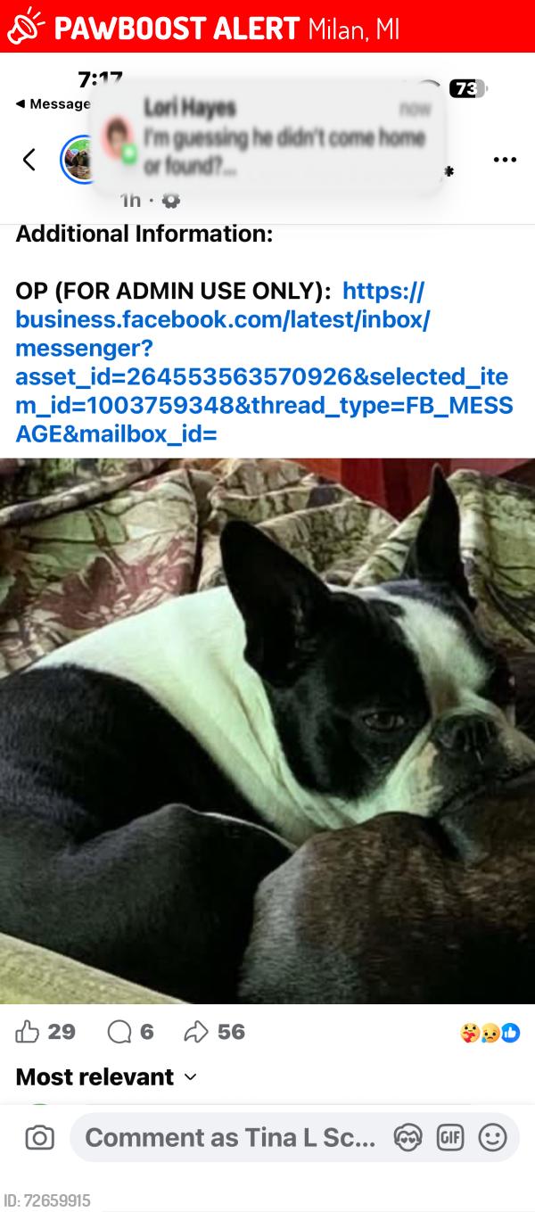 Lost Male Dog last seen Day Rd and Mooreville Rd, Milan, MI 48160
