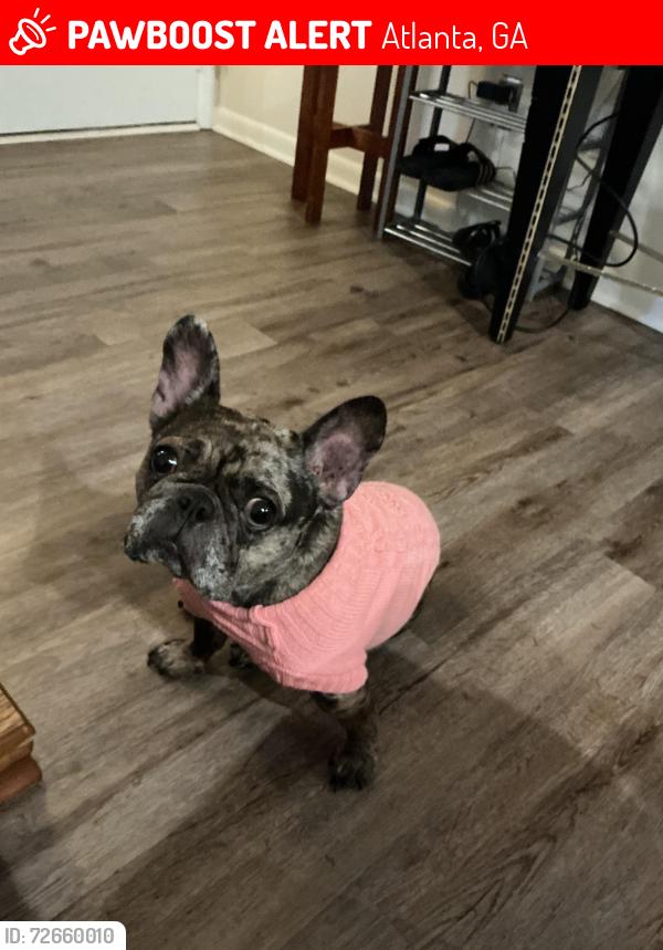 Lost Female Dog last seen Near Browne court, Atlanta, GA 30354