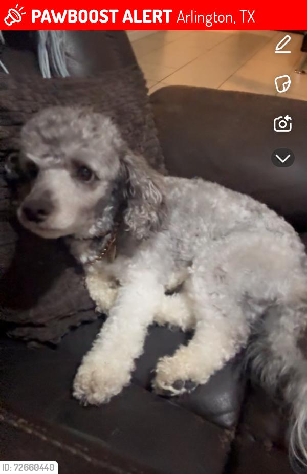 Lost Male Dog last seen Near west service rd/ Kelly Elliot Rd, Arlington, TX 76016