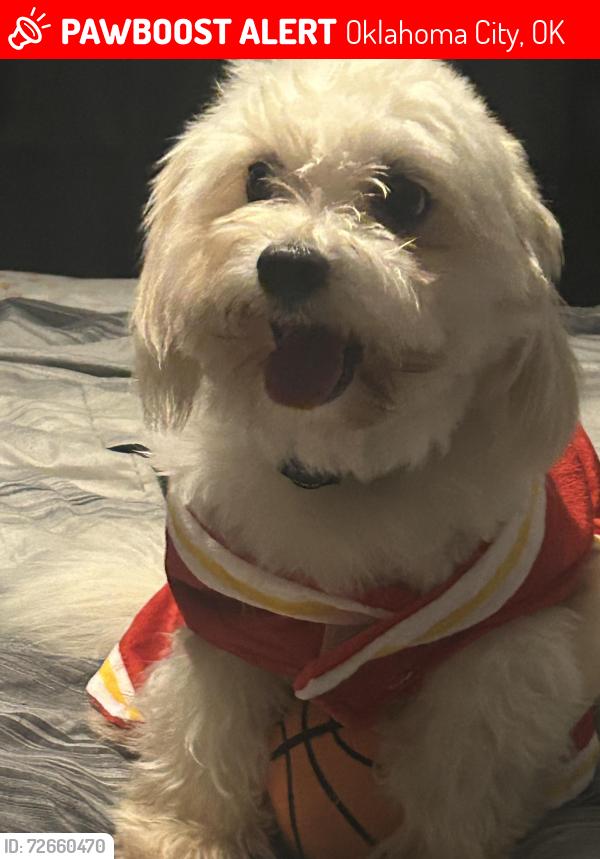Lost Male Dog last seen Hefner, Oklahoma City, OK 73114