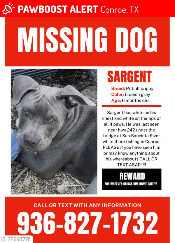 Lost Male Dog last seen San jacita river, Conroe, TX 77384