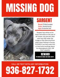 Lost Male Dog last seen San jacita river, Conroe, TX 77384