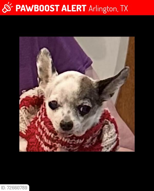 Lost Male Dog last seen Collins and Border, Arlington, TX 76014