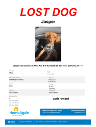 Lost Male Dog last seen Alma and ponmona san jose ca, San Jose, CA 95110