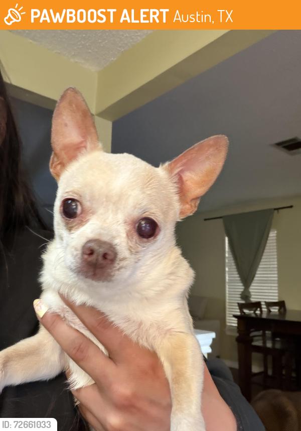 Found/Stray Male Dog last seen Lavendale Ct, Austin, TX 78748