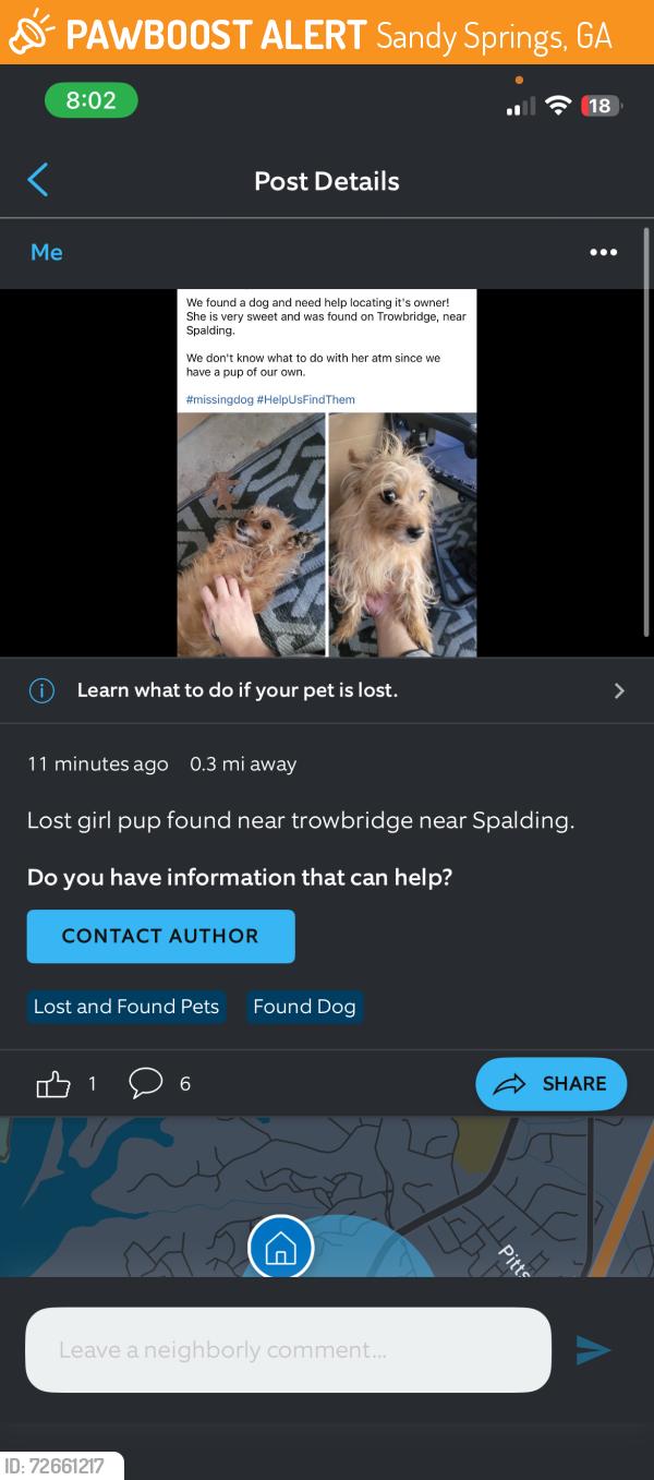 Found/Stray Female Dog last seen Trowbridge, Sandy Springs, GA 30350