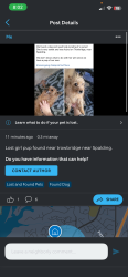 Found/Stray Female Dog last seen Trowbridge, Sandy Springs, GA 30350