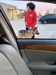 Found/Stray Male Dog last seen mud lane, khols plaza, Louisville, KY 40229