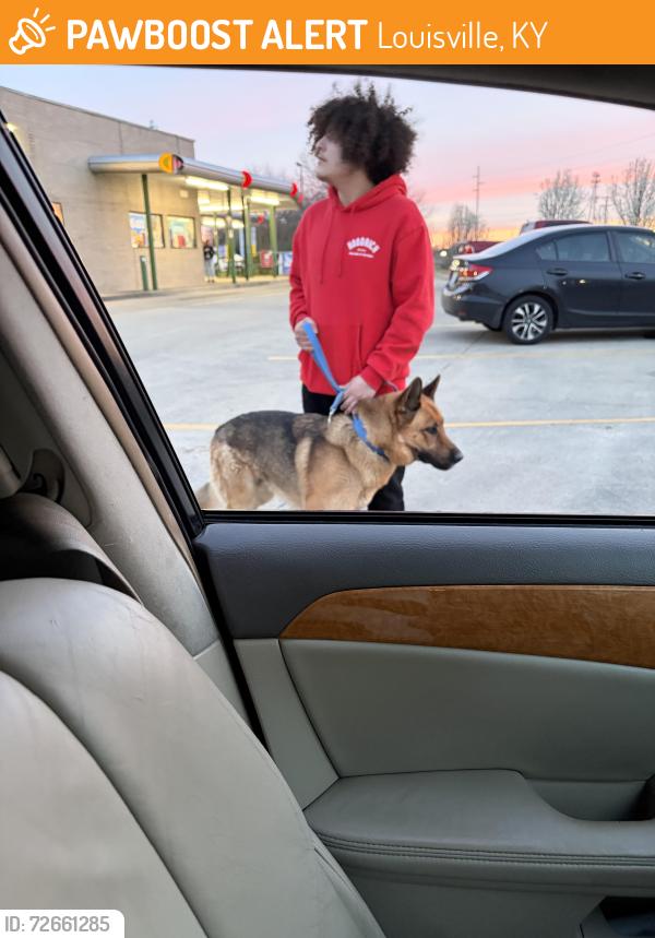 Found/Stray Male Dog last seen mud lane, khols plaza, Louisville, KY 40229