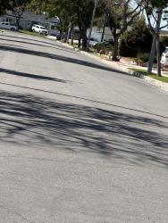 Found/Stray Unknown Dog last seen Euclid and Niobe , Anaheim, CA 92804