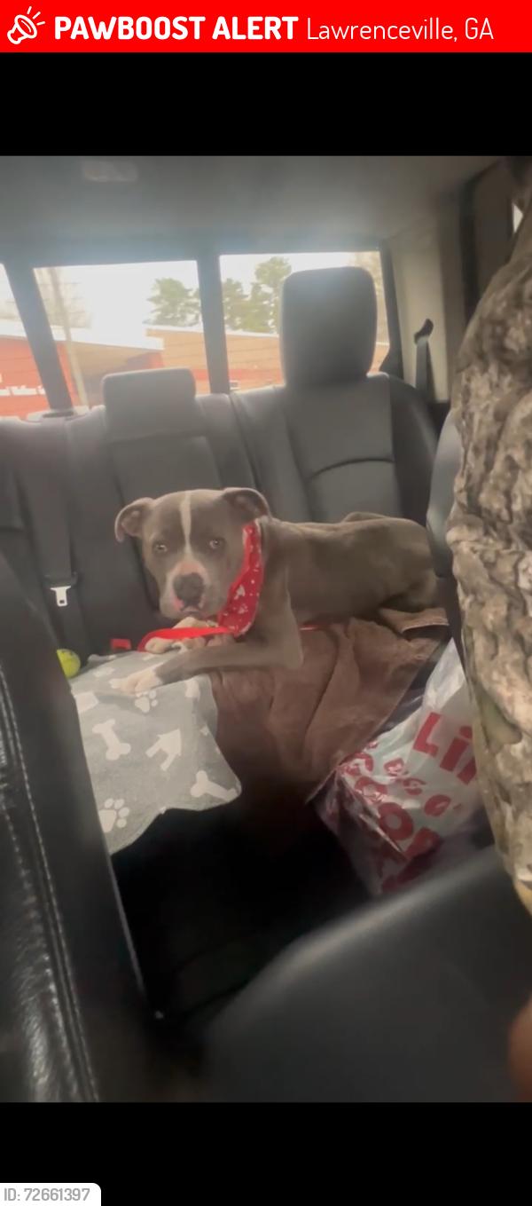 Lost Male Dog last seen S Clayton and Jackson  near Rreal Taco and South Lawn apts, Lawrenceville, GA 30046