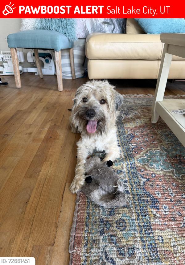 Lost Male Dog last seen Near s , Salt Lake City, UT 84129