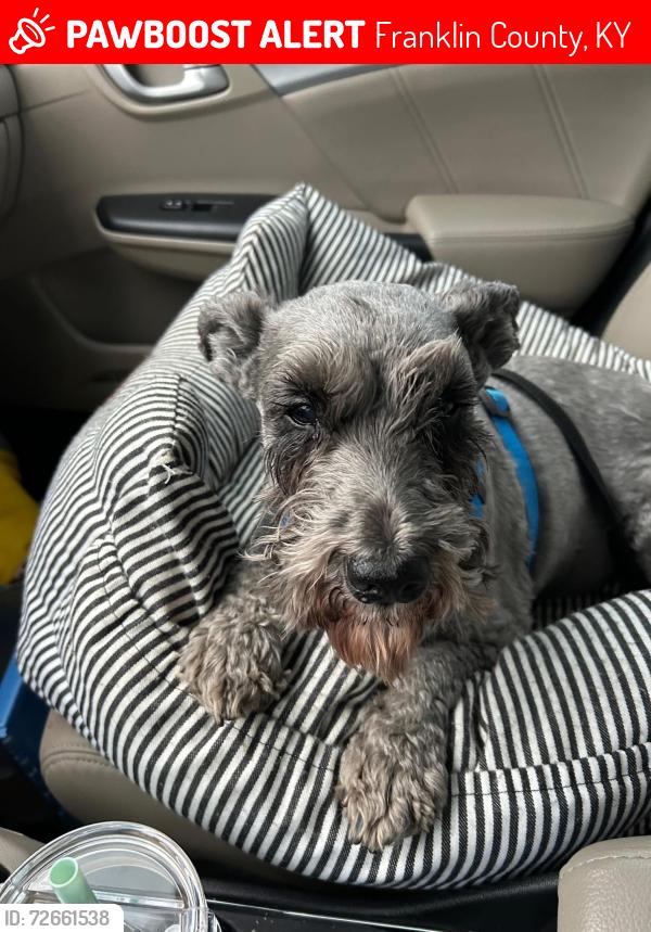 Lost Male Dog last seen Near Dry Ridge Road, Franklin County, KY 40601