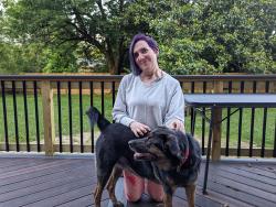 Lost Male Dog last seen Near Norcross Rd , Chattanooga, TN 37343