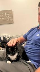 Lost Male Cat last seen Meadowspring and big horn , Elk Grove, CA 95758