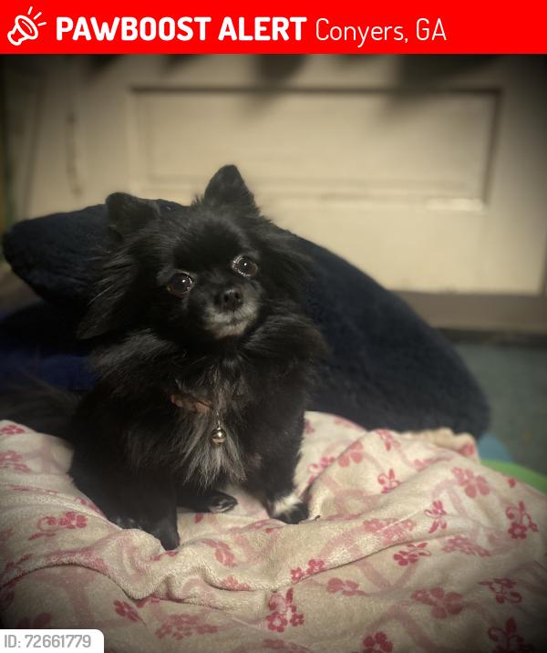 Lost Female Dog last seen McDaniel mill road , Conyers, GA 30094