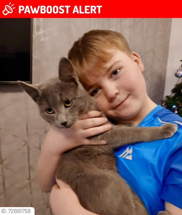 Lost Male Cat last seen Flying Scotsman Way Prestonpans and the surrounding area., East Lothian, Scotland EH32