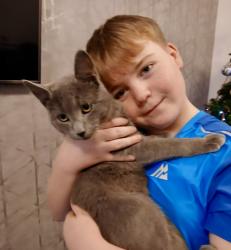 Lost Male Cat last seen Flying Scotsman Way Prestonpans and the surrounding area., East Lothian, Scotland EH32