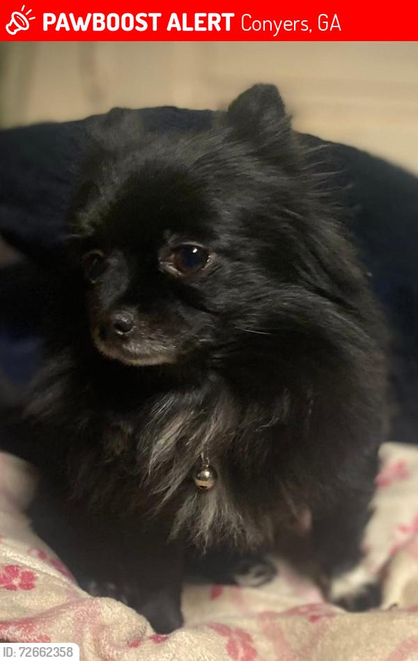 Lost Female Dog last seen Near flt Shoals Road SW, Conyers, GA, Conyers, GA 30094