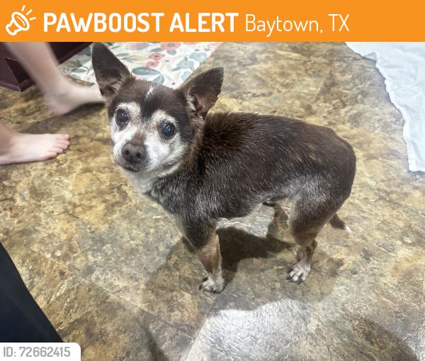 Found/Stray Male Dog last seen Garth rd and wallisville rd, Baytown, TX 77521