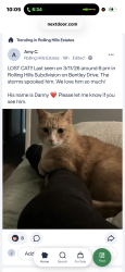 Lost Male Cat last seen Pope road , Douglasville, GA 30135