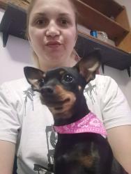 Lost Female Dog last seen Train rail Joostenberg vlakte , Cape Town, WC 7570