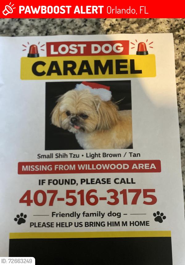 Lost Male Dog last seen Bramblewood Dr willow wood , Orlando, FL 32818