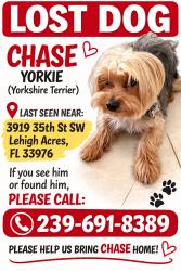 Lost Male Dog last seen Chase, Lehigh Acres, FL 33976
