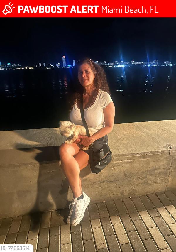Lost Female Dog last seen Lincoln road , Miami Beach, FL 33139