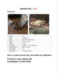 Lost Female Dog last seen Paul, Rowlett, TX 75088