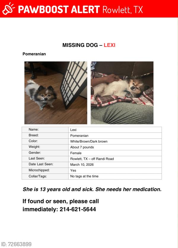 Lost Female Dog last seen Paul, Rowlett, TX 75088
