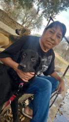 Lost Female Dog last seen violet/mayfield dr, Corpus Christi, TX 78410