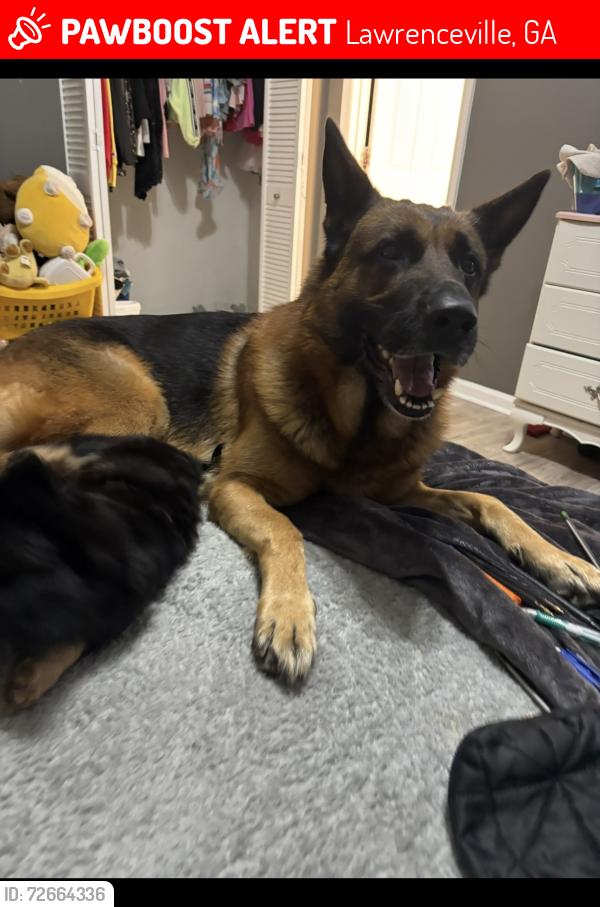 Lost Male Dog last seen in lawrenceville on a street named dowry in the neighborhood , Lawrenceville, GA 30044
