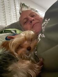Lost Female Dog last seen richfield/spencer, Las Vegas, NV 89123