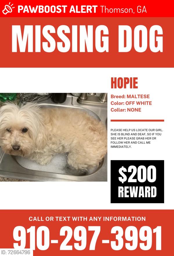 Lost Female Dog last seen Thomson, GA, Thomson, GA 30824