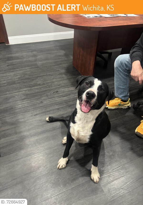 Found/Stray Male Dog last seen Near e Ross pkwy, Wichita, KS 67210