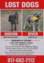 Lost Male Dog last seen Deep Creek CR 4460 & 4461, Wise County, TX 76078