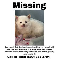 Lost Male Dog last seen Cascade Valley, Moses Lake, Moses Lake, WA 98837
