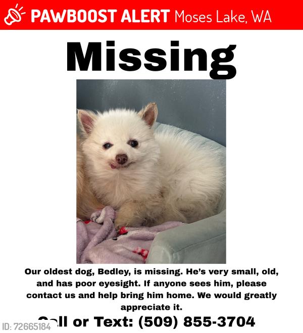 Lost Male Dog last seen Cascade Valley, Moses Lake, Moses Lake, WA 98837