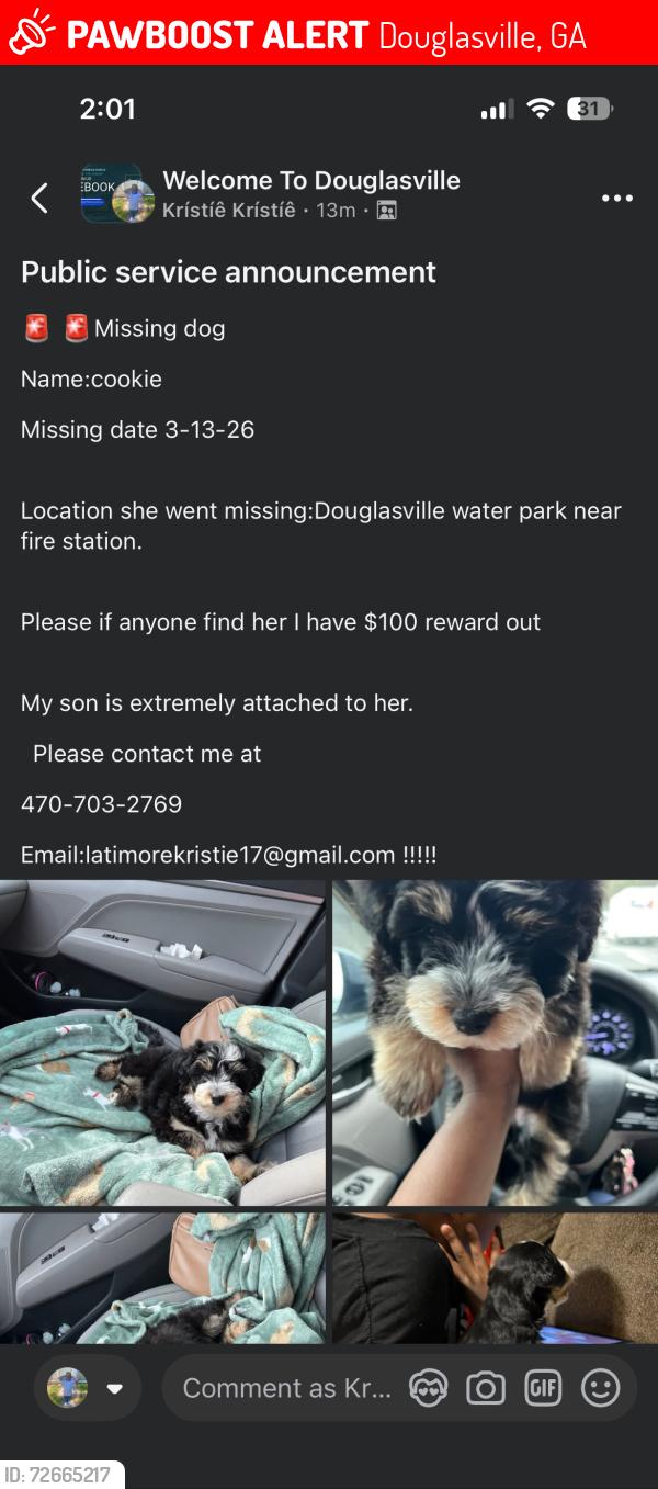 Lost Female Dog last seen Near church st douglasville, GA 30134, Douglasville, GA 30134