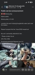 Lost Female Dog last seen Near church st douglasville, GA 30134, Douglasville, GA 30134