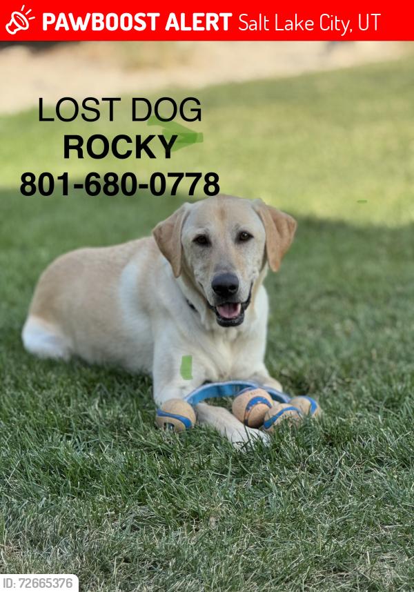 Lost Male Dog last seen Near S 2300 E, Salt Lake City, UT 84108