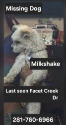 Lost Female Dog last seen Ever Hart dr , Fresno, TX 77545