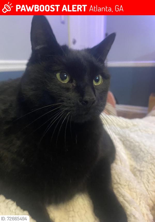 Lost Male Cat last seen Etowah and Becky Lane, Atlanta, GA 30319