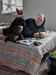 Lost Male Dog last seen Newtown Rd , Virginia Beach, VA 23462