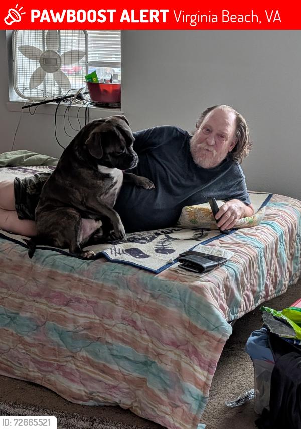 Lost Male Dog last seen Newtown Rd , Virginia Beach, VA 23462