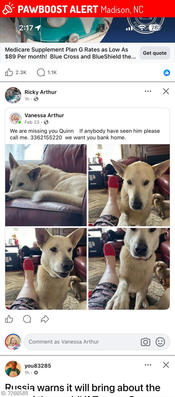 Lost Male Dog last seen Martin farm rd and hwy 704, Madison, NC 27025