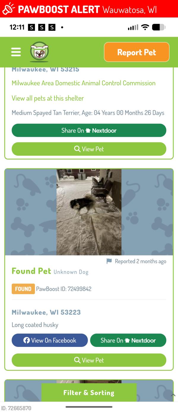 Lost Male Dog last seen 100th Street , Wauwatosa, WI 53225